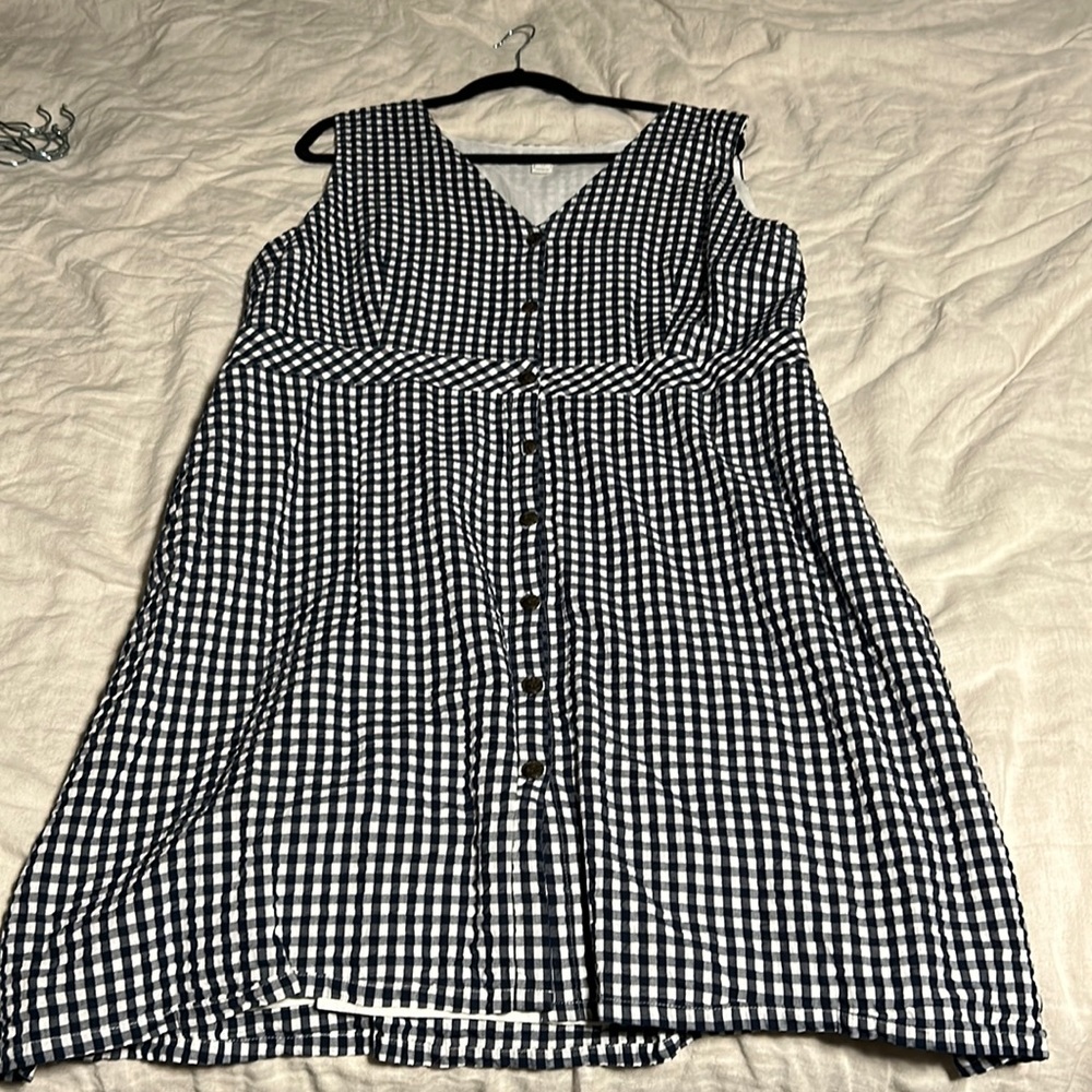 J.Crew blue gingham button down dress.